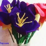 Croseus Flower – DIY Si Ungu Cantik dari Kertas Crepe - BintangTop.com