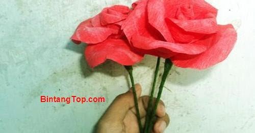 Mawar Kertas Crepe, Si Cantik tanpa Duri – DIY Paper Rose - BintangTop.com