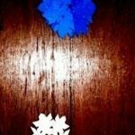 Snow Flake dari Kertas - DIY Serpihan Salju Penghias Jendela - BintangTop.com
